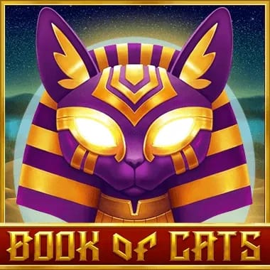Uploaded downloads